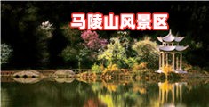 农村操Bxxx